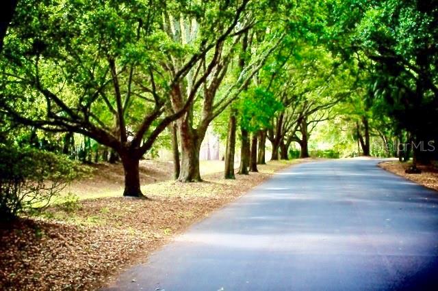 SPRINGS WHISPERING PINES SEC 2 - Residential