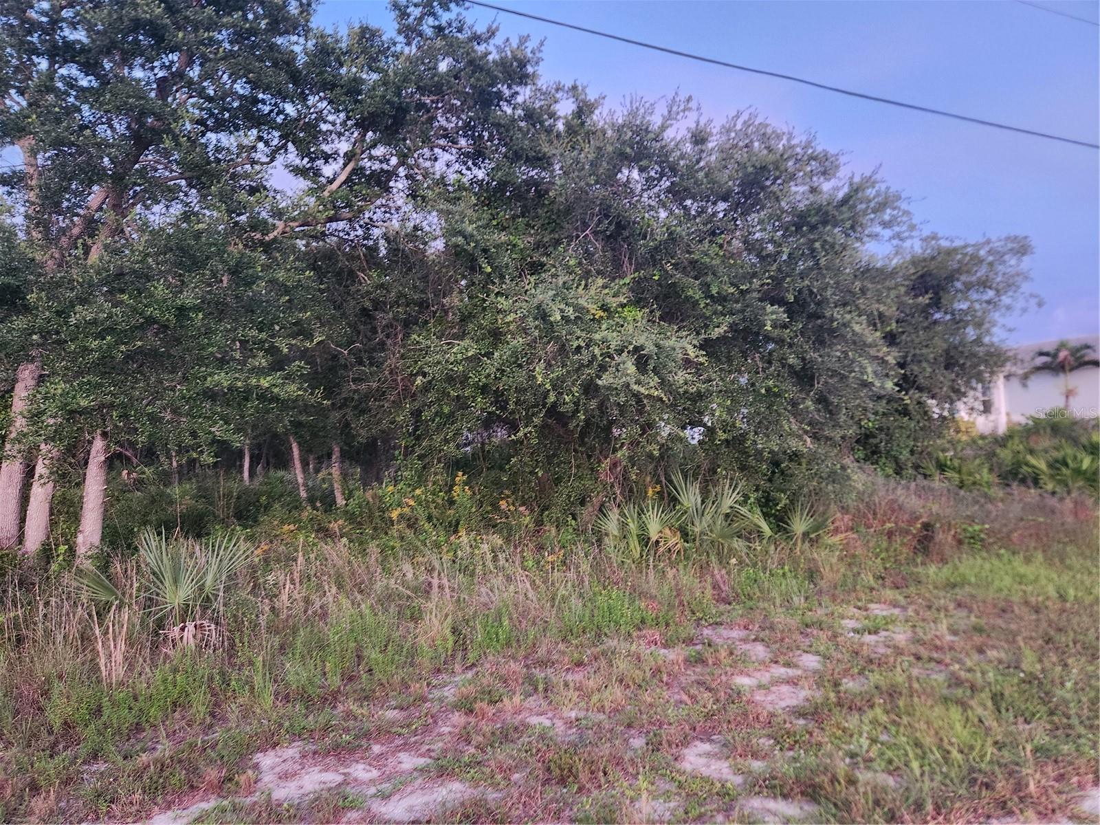 PORT CHARLOTTE SEC 046 - Land