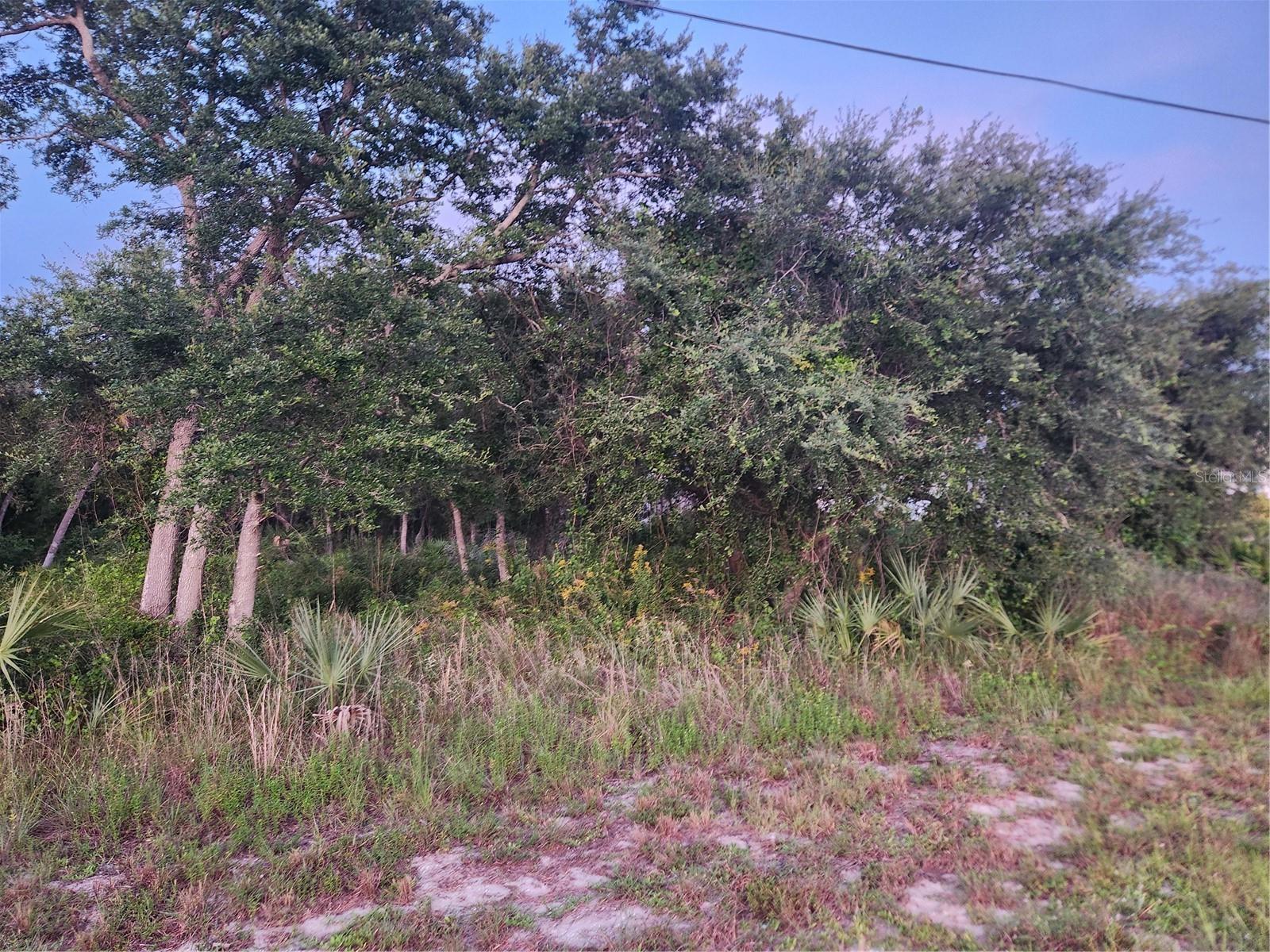 PORT CHARLOTTE SEC 046 - Land