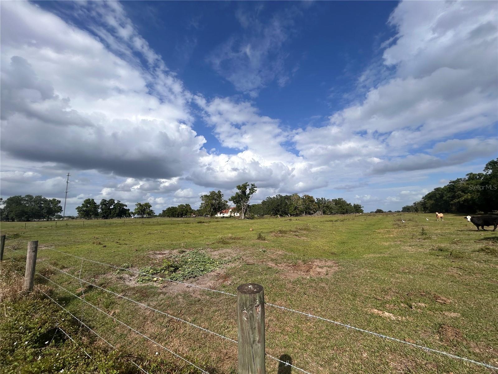 Discover the perfect blend of privacy, space, and rural charm with this beautiful 8.96-acre property located on a corner lot with road frontage on two sides. Whether you’re dreaming of building your custom home, starting a small ranch, or simply enjoying wide-open country living, this land offers endless possibilities.

The property is well-suited for raising cattle or other livestock, with plenty of room to roam and graze. A well is already in place—just add a pump to have a convenient water source for your future home or agricultural needs.

Surrounded by Florida’s natural beauty, this acreage provides a peaceful setting while still being within a reasonable drive to town for shopping, dining, and everyday conveniences. With ample space, open skies, and a quiet atmosphere, it’s an ideal spot to create your own private retreat or working homestead.

Opportunities like this don’t come around often—bring your vision and make this versatile piece of land your own.