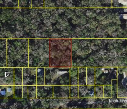 Build your future home or secure a great investment with this 0.50-acre vacant residential lot in Inverness. Zoned for both single-family and manufactured homes, the property offers versatile building options to suit a variety of needs. With no HOA, you’ll have the freedom to design and use the property without added restrictions or fees. The generously sized lot provides plenty of room for a residence, outdoor living spaces, and extra storage. Ideally located near the Withlacoochee River, as well as Potts Preserve and the Turner Camp boat ramp, you’ll enjoy convenient access to boating, fishing, and Florida’s outdoor lifestyle. The property is not landlocked and features its own limestone road access directly off E Holt Ct, providing ease of entry and added value. Just minutes from shopping, dining, medical facilities, and everyday conveniences, this property offers a peaceful residential setting without sacrificing accessibility. A fantastic opportunity for builders, investors, or future homeowners looking to purchase land in the growing Citrus County area.