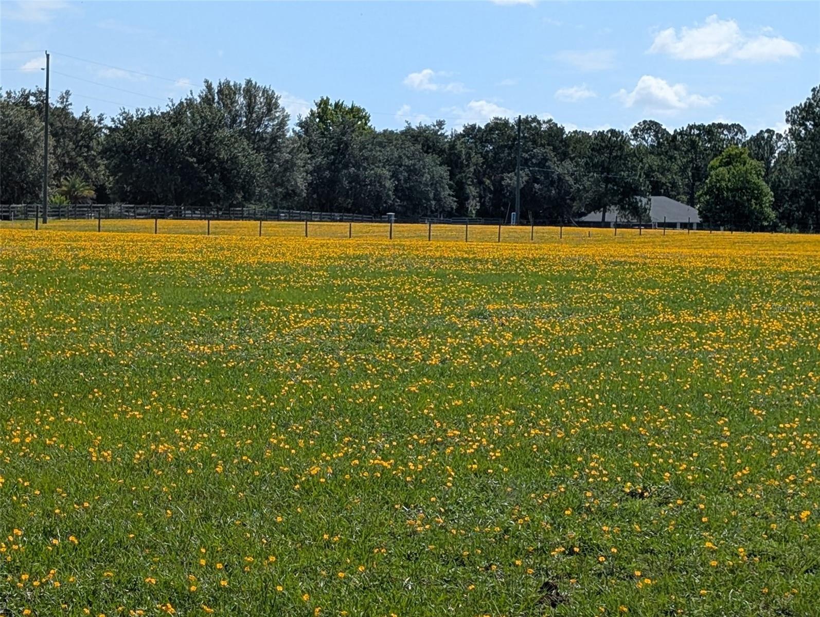 This one is a PRIZE property. You are just far enough from town to have loads of privacy, however you are close enough to have loads of conveniences. You get open pasture land with rare forage. Let me expand on the importance of the forage. This property is a mixture of grasses and perennial peanut. If you are looking to raise delicious cows, show cows, milk cows or goats, compete in equestrian or breed horses... you need this property. Let me repeat that, if you have or want prize livestock or horses, you really really want this property. Perennial peanut is a legume forage that is highly palatable, high in protein and contains similar nutritional qualities to alfalfa. You could spend tens and tens of thousands of dollars and many, many, many years trying to duplicate this pasture only to get mixed results. The quality of this pasture is rare. In the pictures you will see little yellow flowers spread throughout the grass. That is the perennial peanut plant. You'll see pictures of bee hives, a beekeeper keeps bees on the property because of the forage and quality, which contributes to the quality of the honey. You will see a picture of turkeys. Walking through the pasture I jumped rabbits. You'll see deer in the morning and evenings. Are you getting what I'm selling here... this place is like a high end exclusive restaurant for animals. 10 or 20 acres is nice, 45 acres and above puts you into a different category, you go from hobby to serious. This amount of land and quality of these paddocks allows you to get serious about living your dream. The pastures are flat and smooth. The fencing is new, tight and post are solid. The property is cross fenced so you can rotate your animals. There are shade trees scattered around for animals to relax under. The southern edge of the property has a creek with woods for the wildlife. There is an 8 inch well on the property that once irrigated an orange grove. It is very tough to get permitting for a new 8 inch well in today's world. A well of this size is valuable, you'll want to keep it. There is electric on the property, wired for 3 phase for the well pump. You are on a paved road, no dealing with dust, mud and road maintenance. There are nice homes and really nice homes in the area. You are NOT in an area of run down trailer homes. You are off the main road, tucked out of the way, but you get convenience, just 18 minutes to Walmart, 22 minutes to Publix and similar times to restaurants and other shopping. We challenge you to find a better property. There are plenty for sale, we doubt that they can anything that offers as much as this property. What are you waiting for? Schedule your appointment today.
