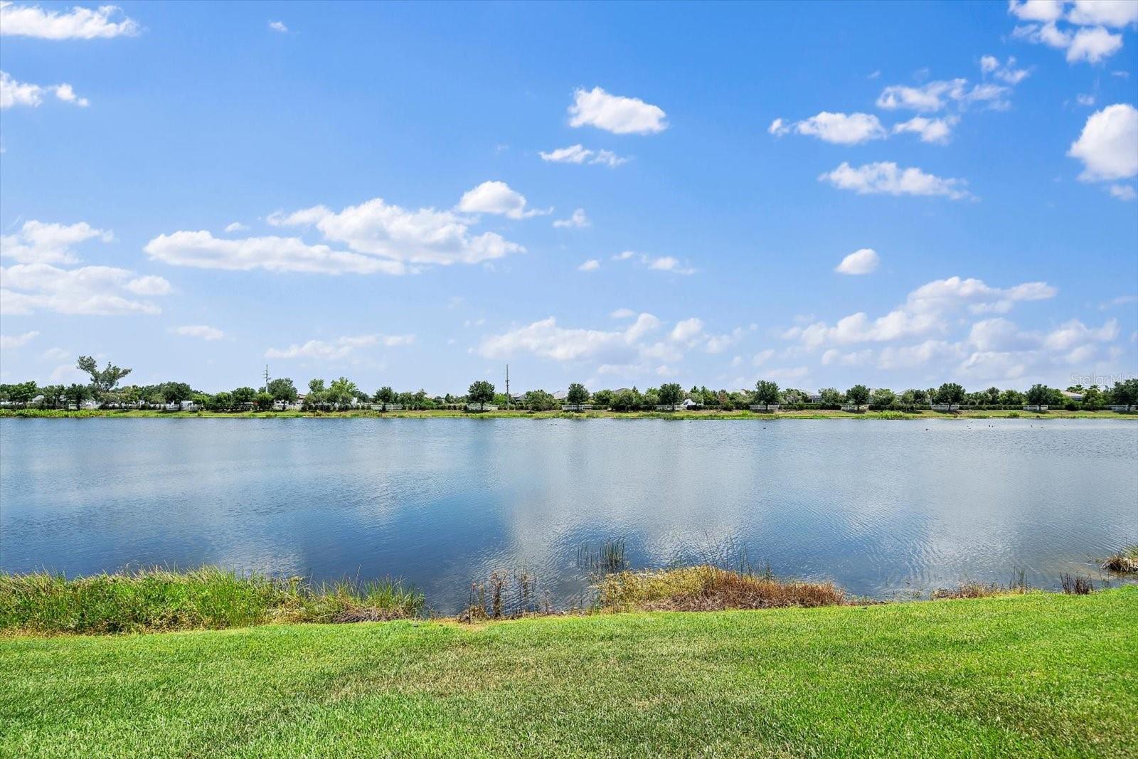 PALMER LAKE A REP - Residential