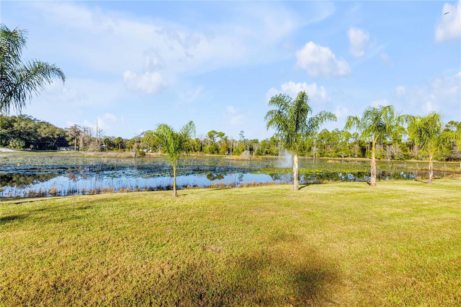 NOT IN SUBDIVISION - Residential