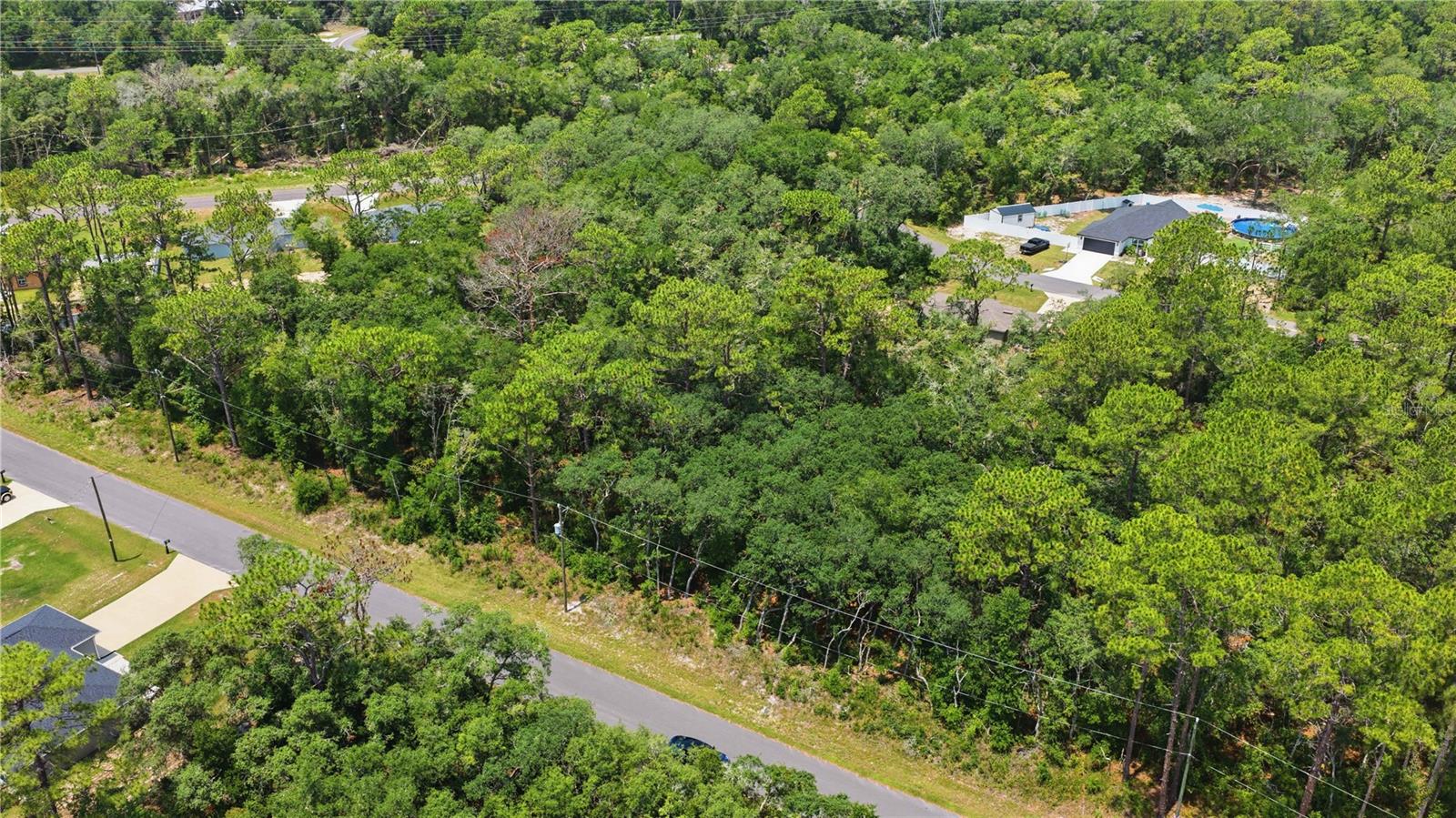 SILVER SPRINGS SHORES - Land