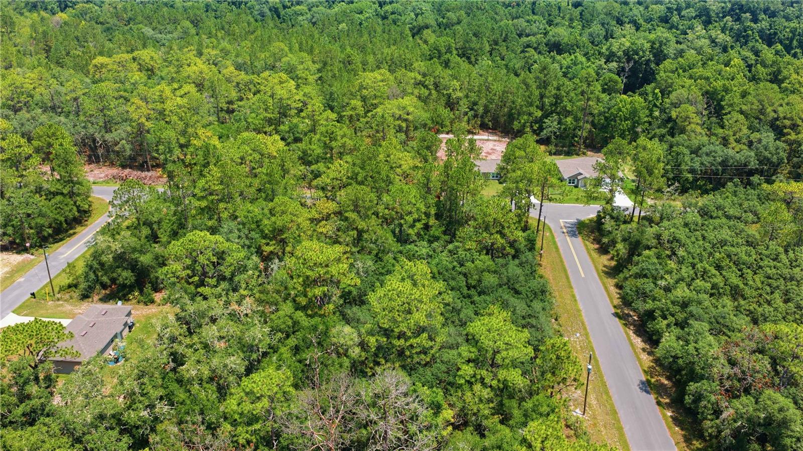 SILVER SPRINGS SHORES - Land