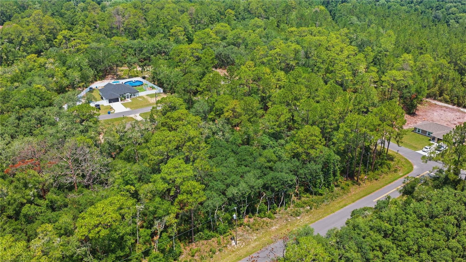 SILVER SPRINGS SHORES - Land