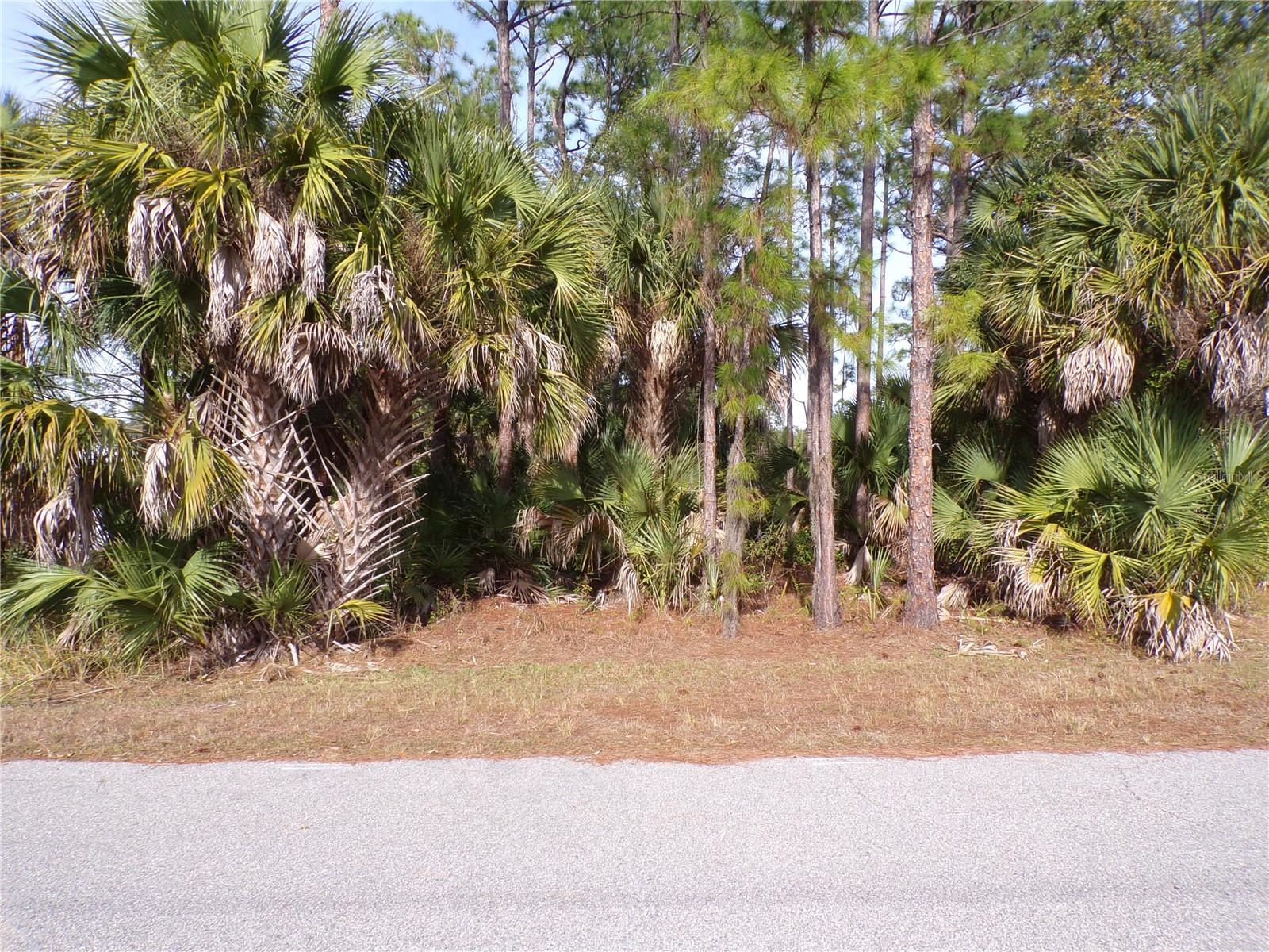 PORT CHARLOTTE SUB 08 - Land