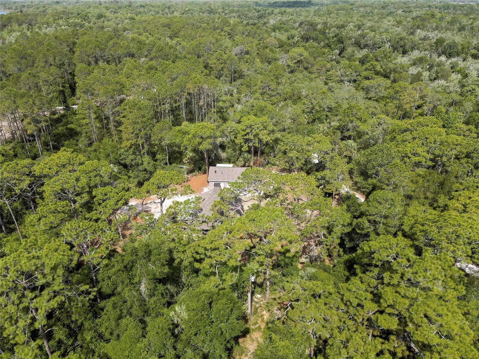 HALLS RIVER ESTATES - Residential