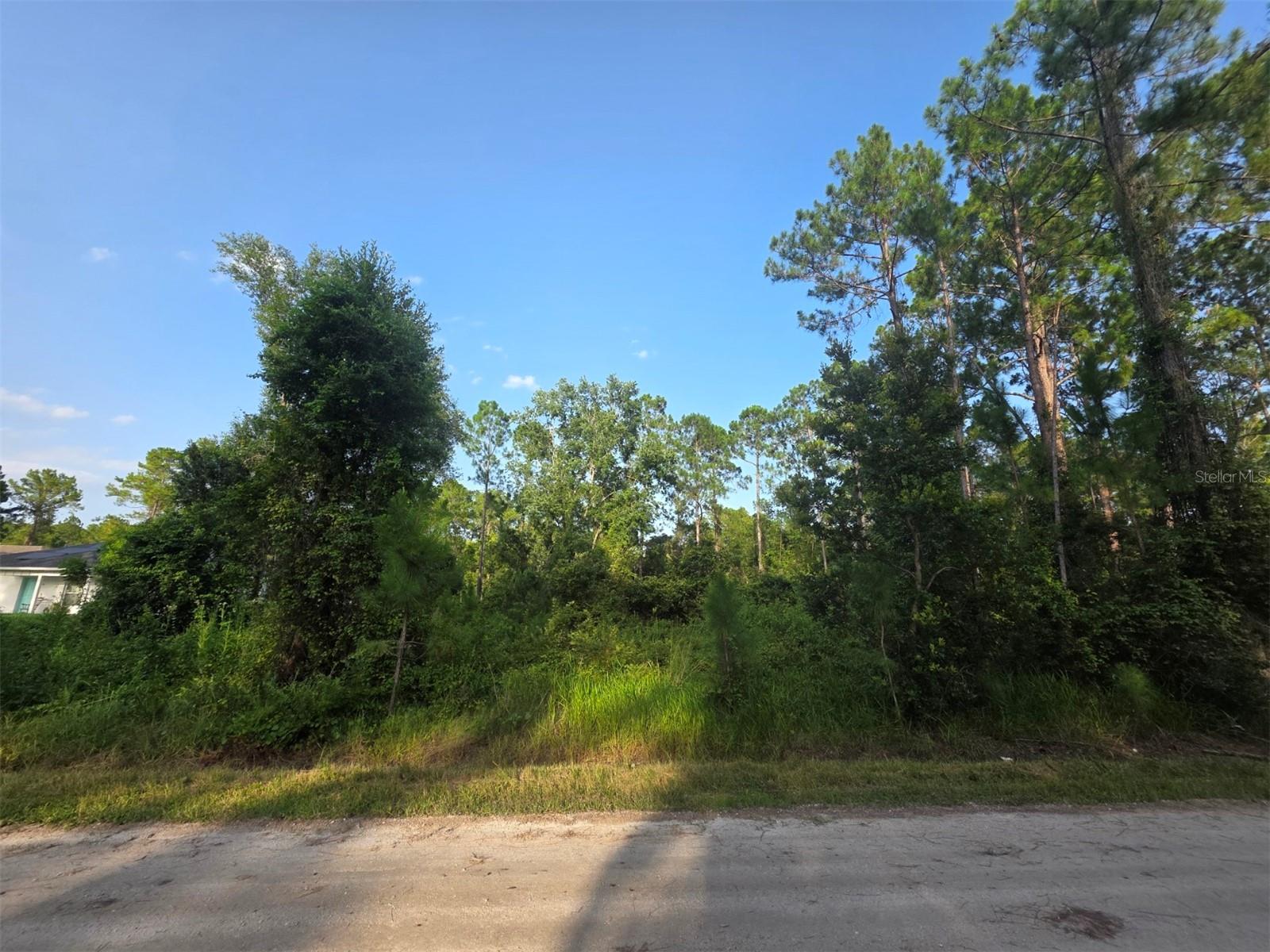DAYTONA PARK ESTATES SEC D - Land