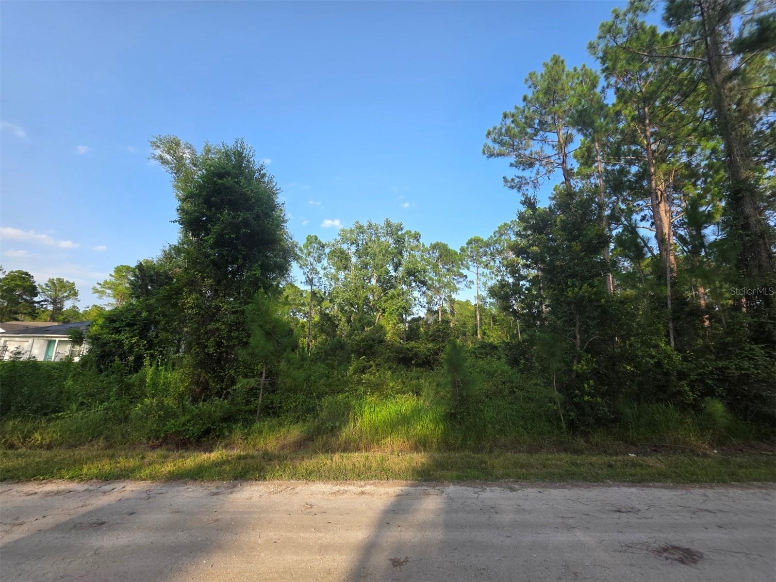 DAYTONA PARK ESTATES SEC D - Land