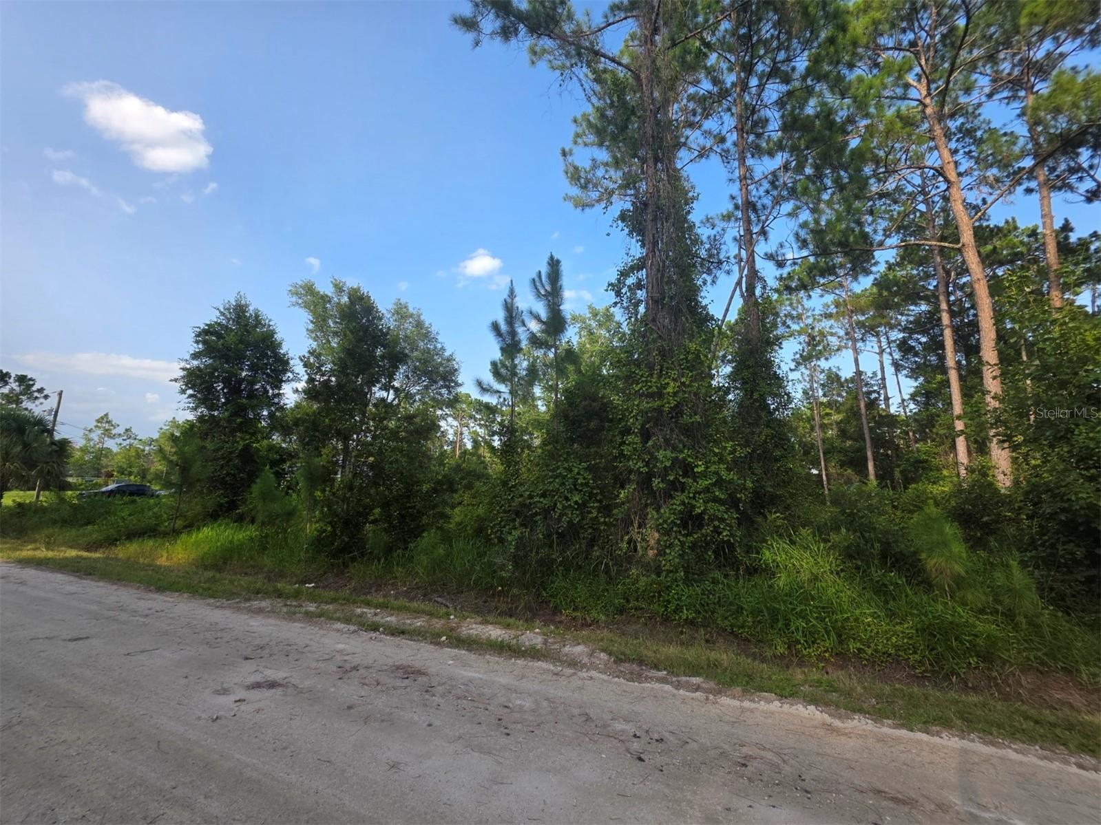 DAYTONA PARK ESTATES SEC D - Land