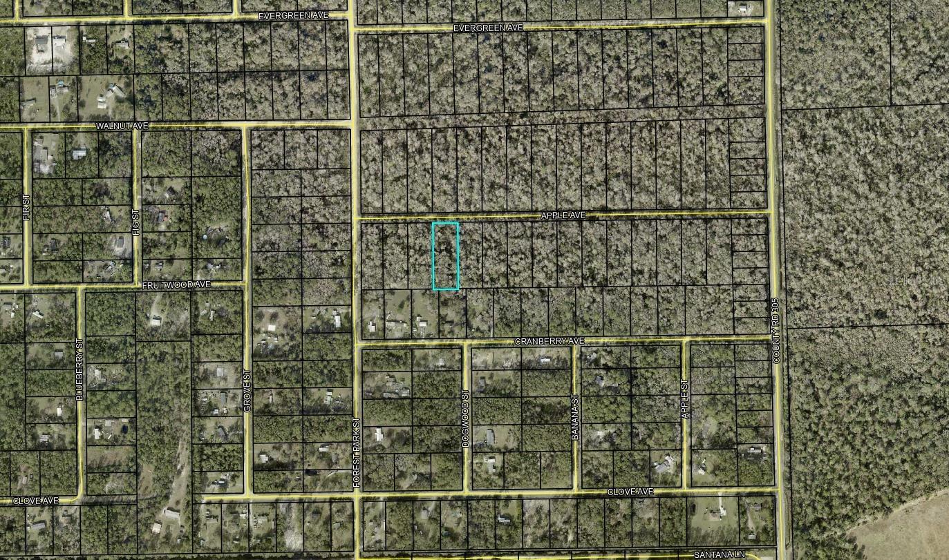 Priced to sale, Please do your due diligence to verify with the county your usage options. This property is located in flood zone A. and possibly considered wetlands.