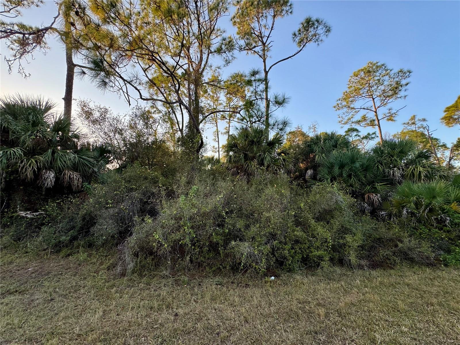 Price reduced....For Sale Vacant Land on a Greenbelt Lot in SWFL. Available for purchase is a half-acre vacant land greenbelt lot in Southwest Florida. The lot is zoned as AC6, suitable for investment, and offers numerous and potential opportunities. Alternatively, you can build your own home, enjoying privacy and country-style living. This vacant land lot provides an ideal location for off-grid living in North Port, which is conveniently situated near schools, shopping centers, restaurants, malls, parks, hospitals and water park. It is free from HOA or deed restrictions, CDD, and is not in Scrub Jay. Within a 30-40 minute drive, you can access the renowned Siesta Key Beach. Alternatively, you can visit the UTC Mall for entertainment, shopping, and fine dining. The lot is NOT located in a flood zone. Make this vacant land lot yours today!