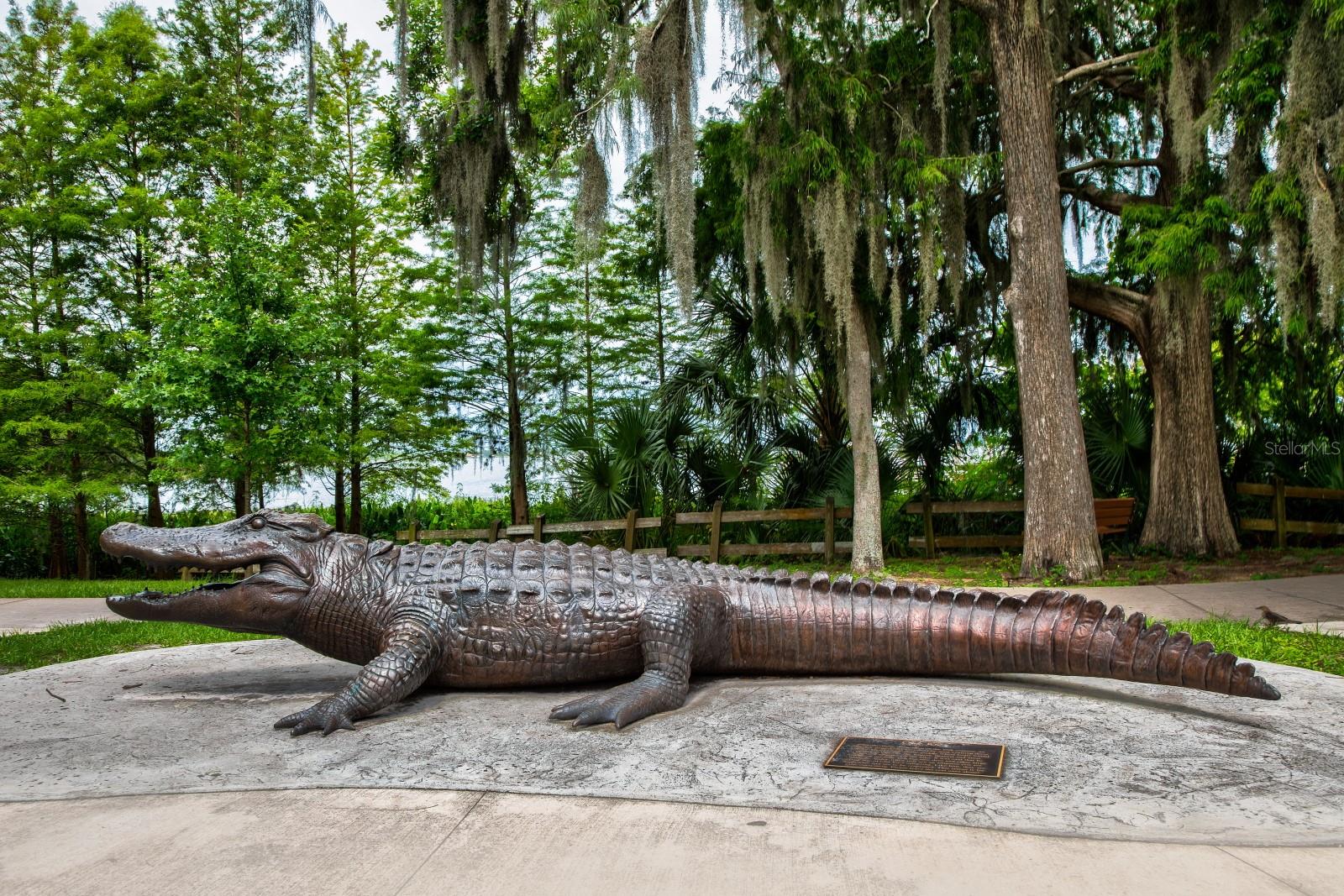 MOUNT DORA DICKERMAN SUB - Residential