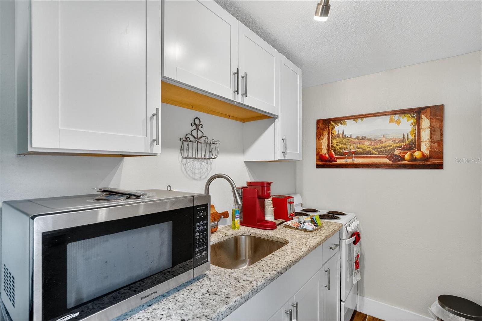 MOUNT DORA DICKERMAN SUB - Residential