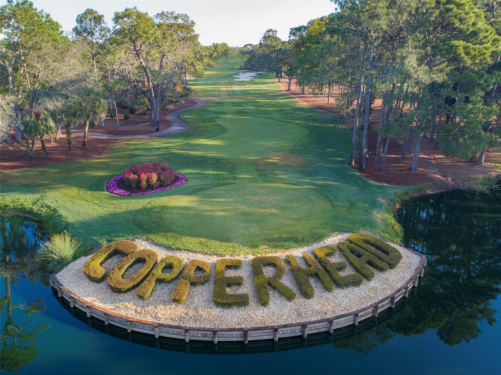 HIGHLANDS OF INNISBROOK - Residential