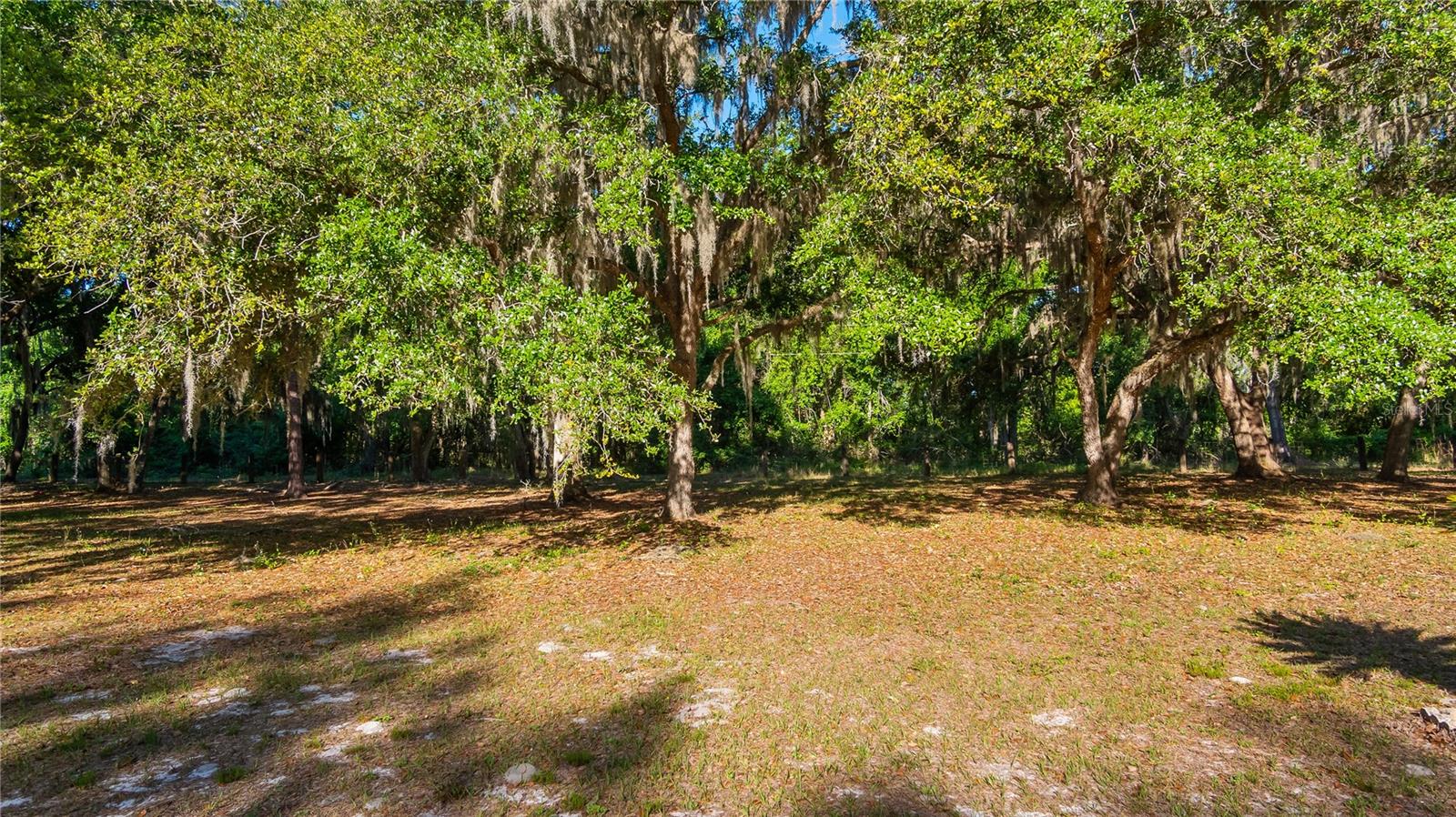 GROVELAND MC MURPHYS WOODS SUB - Land