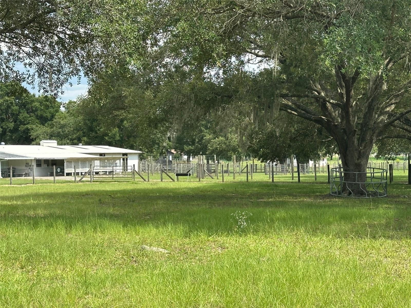 DERBY FARMS - Land