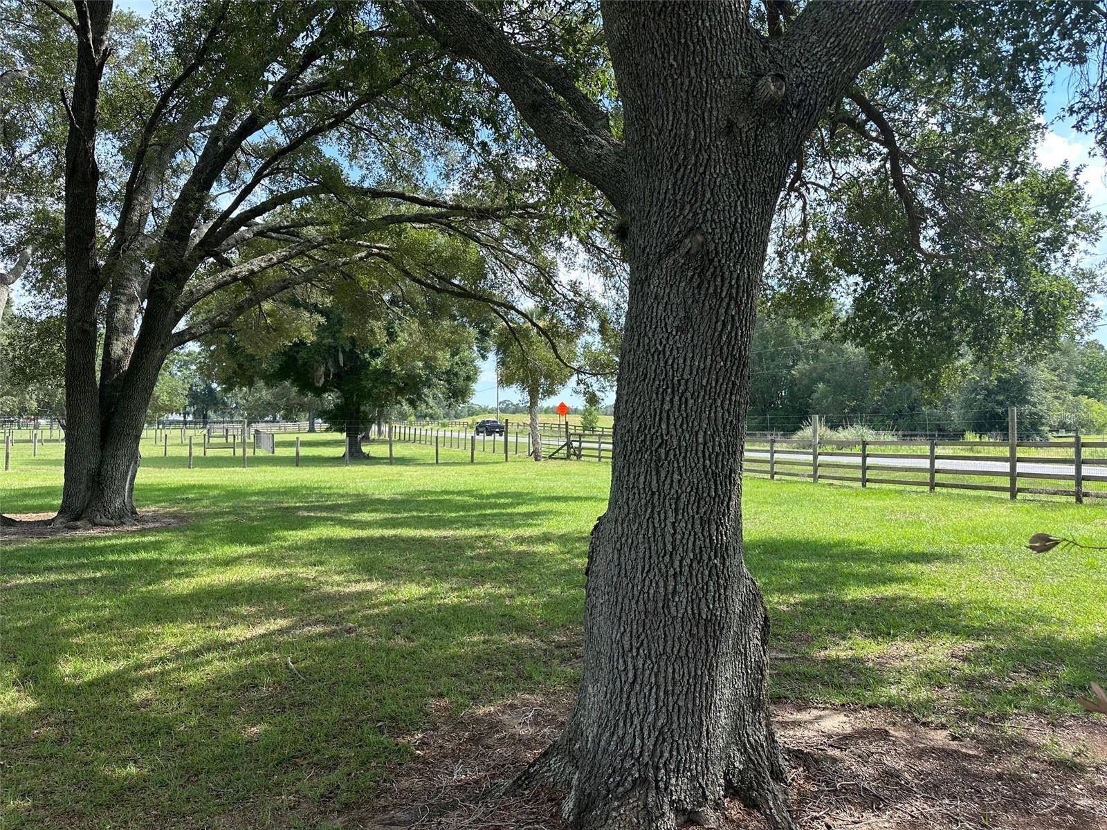 DERBY FARMS - Land