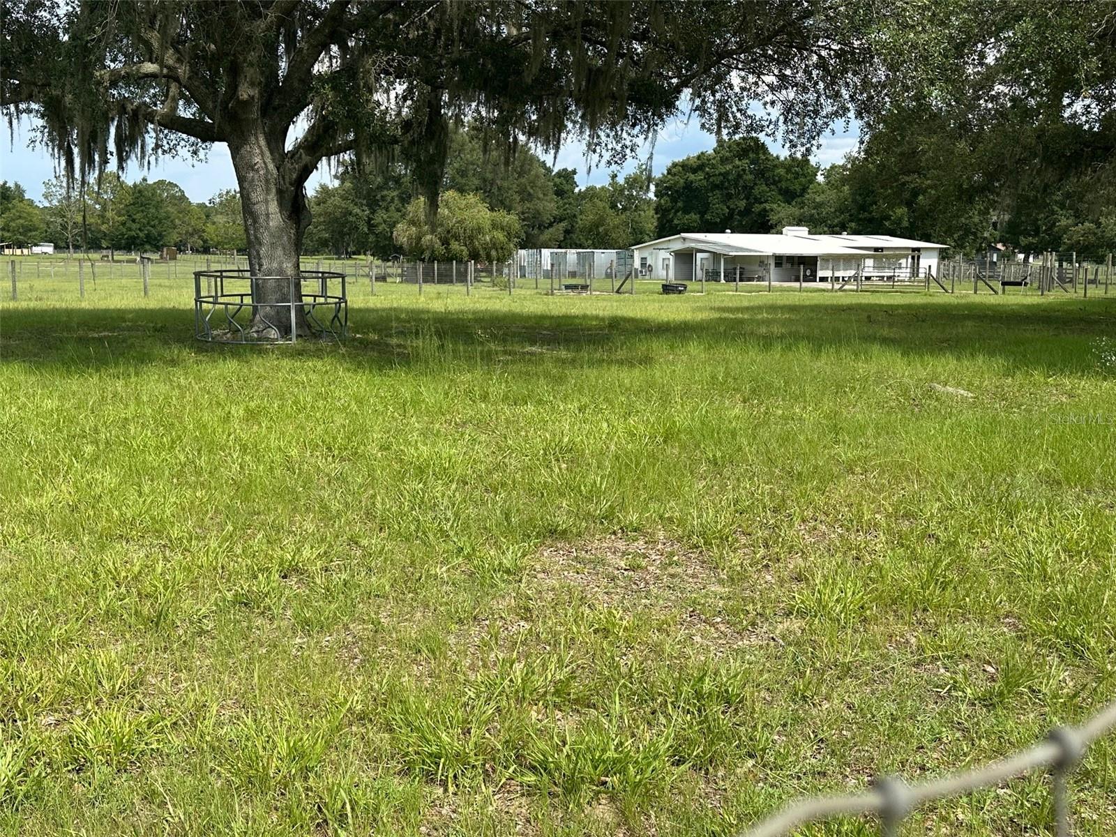 DERBY FARMS - Land