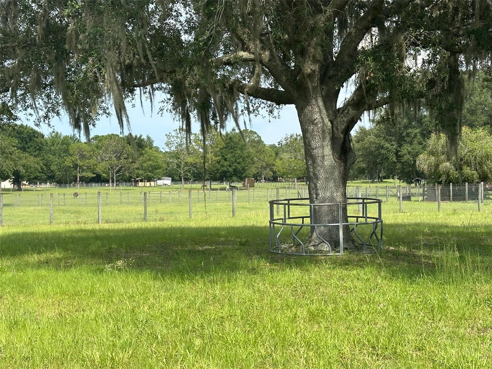 DERBY FARMS - Land