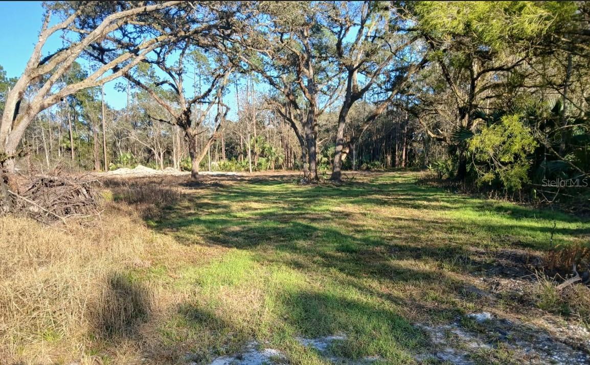 1.0062 Acre Property located in Christmas, FL. This is a rare opportunity to find rural living with easy access to both Orlando
and the East Coast. Just a few miles East is the St. Johns River and Canaveral Marshes Conservation Area and you are only 10 miles from I-95.
With easy access to Titusville for all your shopping and dining needs. Only 35 miles to Kennedy Space Center and prime viewing for all rockets
launches. Back to the West you are only 18 miles from the junction of 417 on the East side of Orlando leading you to wherever you need to go.
Come check out this unique slice of Old Florida living which is getting harder and harder to find.