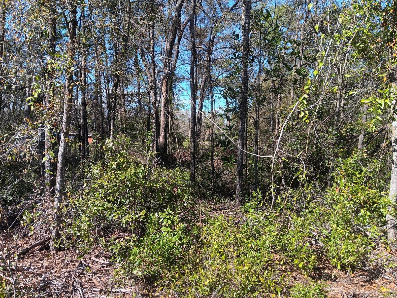 OAK FOREST ESTATES - Land