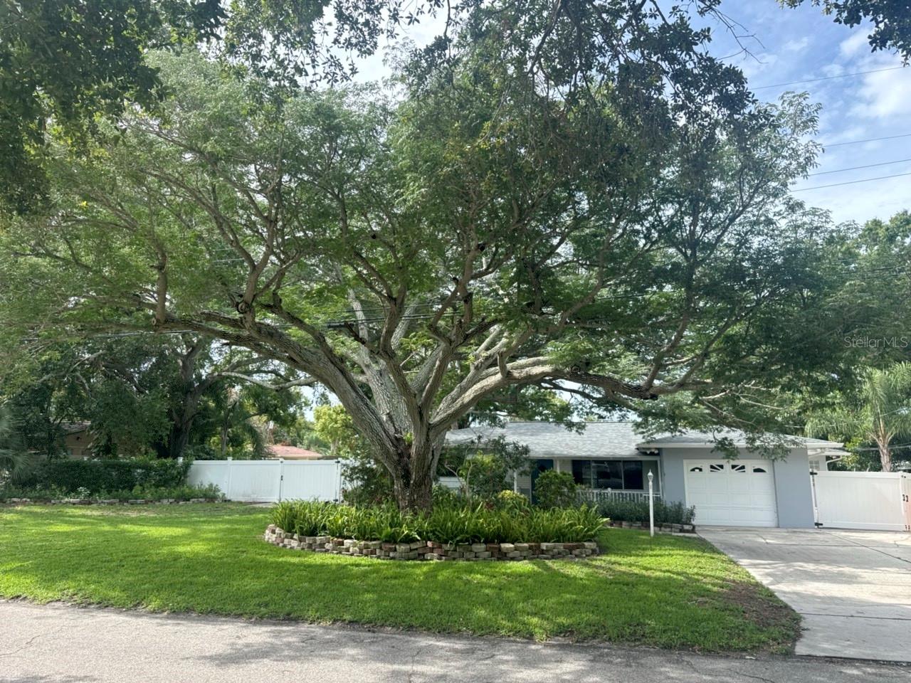 ORANGE TERRACE - Residential