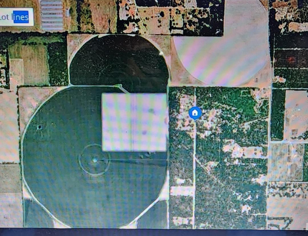 OVER 4 ACRES OF PRIME LAND IN BEAUTIFUL MADISON COUNTY, FLORIDA! Don’t miss this opportunity to own over 4 acres of high-potential land in the heart of Madison County—one of Florida’s hidden gems. This spacious parcel offers the perfect setting to build your dream home or place a mobile home, with no mandatory HOA restrictions and flexible site development options available. Whether you're looking for a quiet countryside retreat, planning to develop a homestead, or seeking an investment property in a steadily growing rural community, this property fits the bill. Madison County is known for its natural beauty, rich history, and welcoming community. The area boasts clear natural springs, meandering rivers, and open skies—a haven for outdoor enthusiasts and nature lovers. MOTIVATED SELLERS!!!