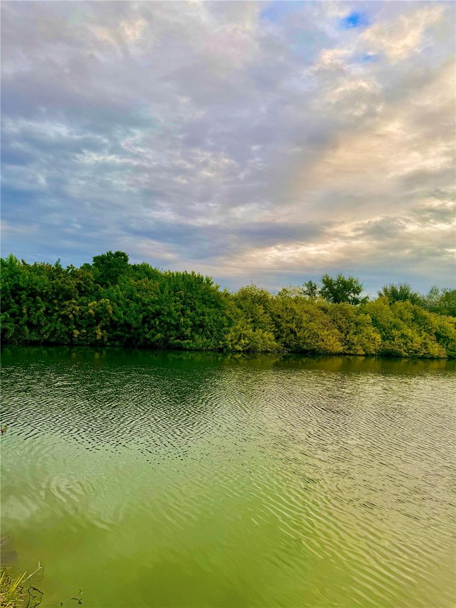 Waterfront lot on waterways to access Lake Conley is perfect for building your dream home! Add a dock and bring your boat! No HOA, no CDD. This lot is on a cul-de-sac. It is located near downtown Tarpon Springs and Sponge Docks known for the world’s finest sponges, Greek restaurants, and shopping. Close to Gulf beaches, and Tampa International Airport. There is additional lot next to it also available for purchase at Lot 1512 (TB8465523). Seller will consider a package deal. Don't miss the chance to own a prime waterfront lot in a desirable location!