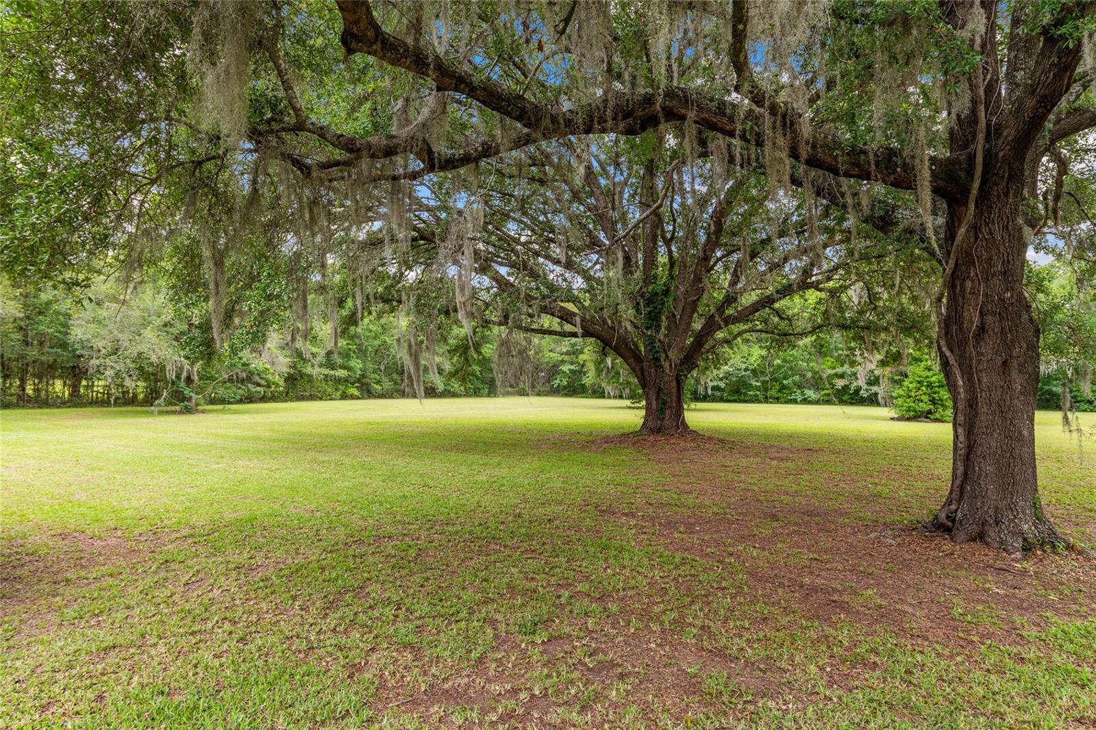 SHAW FARMS OF ALACHUA - Residential