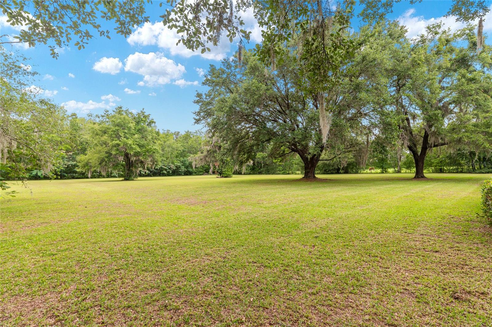SHAW FARMS OF ALACHUA - Residential