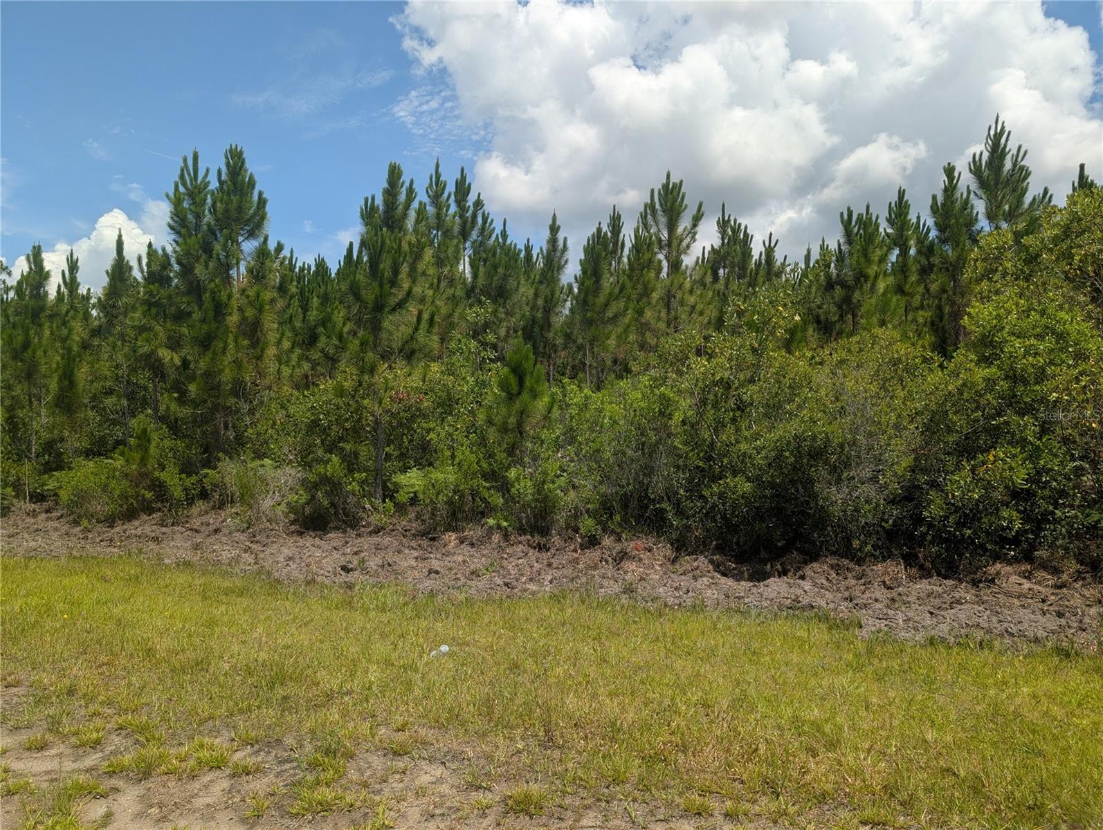 Come build your forever home on this one-half acre lot that located in the lake community of Indian Lake Estates, a golfing, fishing and boating community in the center of Florida. You can be out on Lake Walk in Water fishing in just minutes! Indian Lake Estates is about 20 miles east of Lake Wales. The community surrounds the 7,500 acre lake locally known as Lake Walk In Water, nationally known for its fishing and considered to be one of the best bass fishing lakes in all Florida. The lake has a beach, boat ramp, boat marina and the longest freshwater Fishing pier in the State of Florida. The pavilion is located at the front of the pier and is complete with propane grills and covered picnic tables. The community amenities include an 18-hole golf course, basketball and tennis courts, 23, 000 sq.ft. clubhouse, cafe, post office, churches, library, fitness room and pro shop. If you love nature and the peace and quiet of the country you're in luck. Wildlife is plentiful! You will see deer, raccoon, turkey, turtles, cranes and various species of birds that call Indian Lake Estates their home.
Orlando and Disney is only about an hour's drive north and Tampa, Busch Gardens, and the Gulf's pristine beaches only a little over an hour west. Historic Bok Tower, a National Landmark, is in nearby Lake Wales. The Westgate River Ranch Resort and Rodeo is just six miles away. An authentic Florida dude ranch and full-service resort offering guests the opportunity to experience "Old Florida." Encompassing 1,700 beautiful acres, Westgate River Ranch features horseback riding, wildlife airboat and swamp buggy rides, Saturday night championship rodeo, trap/skeet range, nature hikes, petting farm, marina, Adventure Park with zip line and rock climbing wall, Westgate Smokehouse Grill and River Ranch Saloon and much more. Cowboy-themed accommodations range from ranch-themed lodge guestrooms and deluxe lodge suites to spacious cottages, two-bedroom cabins, Glamping and Luxe Teepees. Come out and see how great life can be at Indian Lake Estates! Polk County's best kept secret!