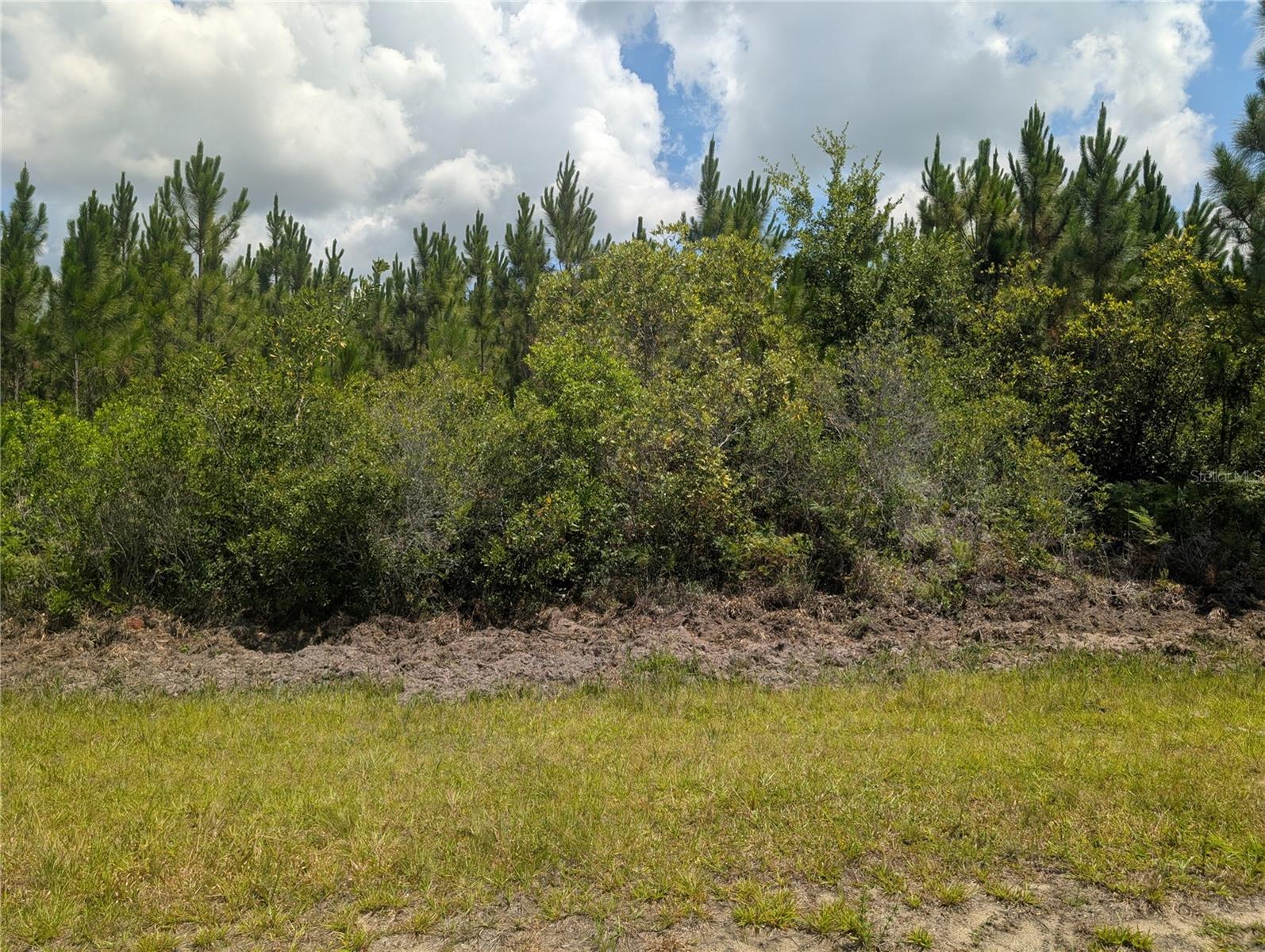 INDIAN LAKE ESTATES - Land