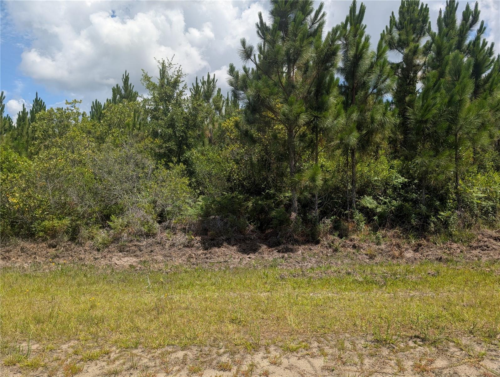 INDIAN LAKE ESTATES - Land
