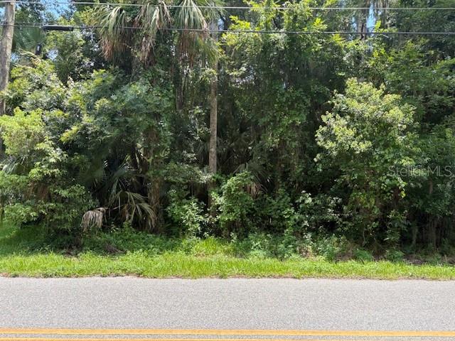 Don't miss out on this wonderful opportunity to own one of the few waterfront lots left on Hontoon Road.  This lot has canal access to the St. Johns River and sits across from Holly Bluff Marina.  Hontoon State Park is right around the corner, DeLand is a short drive offering lots of shopping, restaurants, The Athens Theatre and Stetson University.