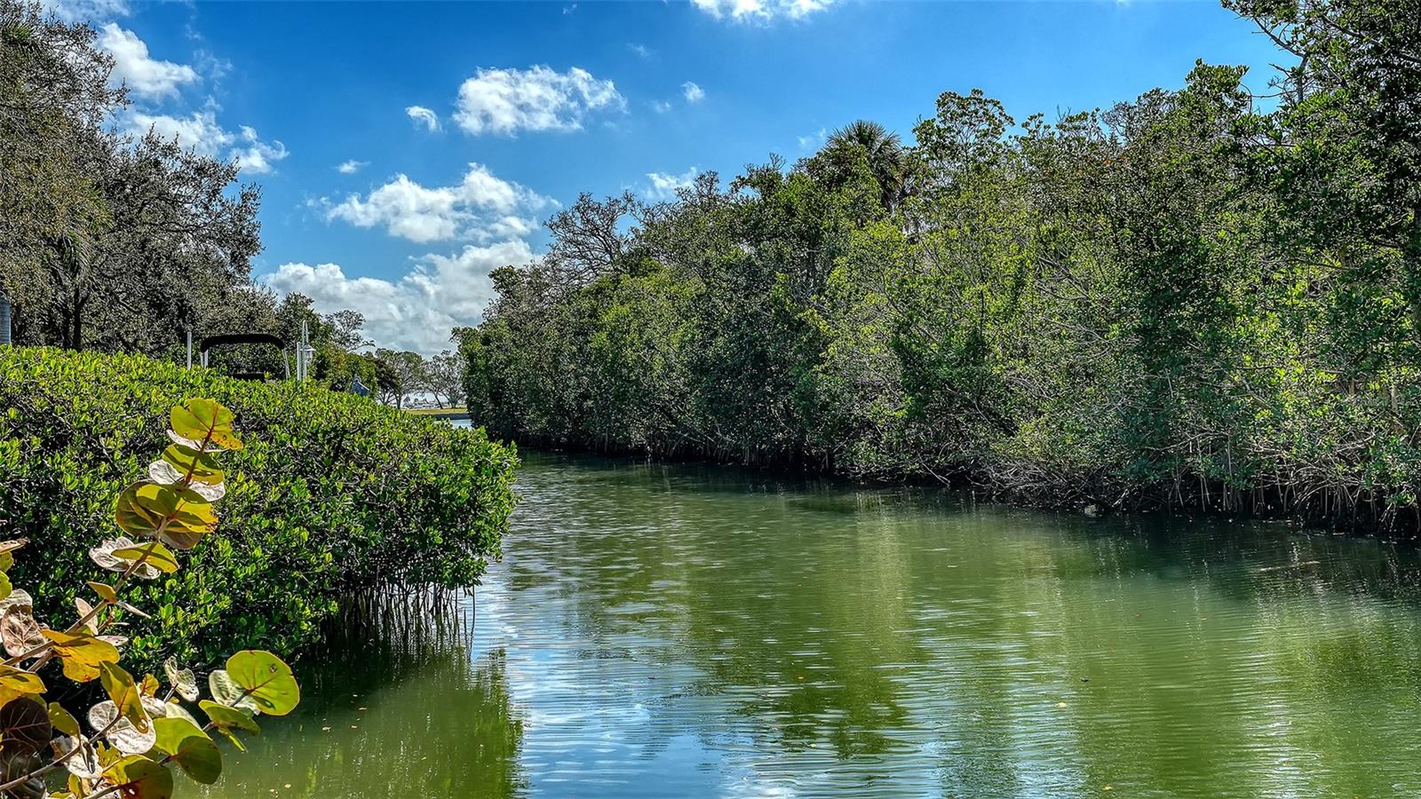 BAY ISLES - Residential