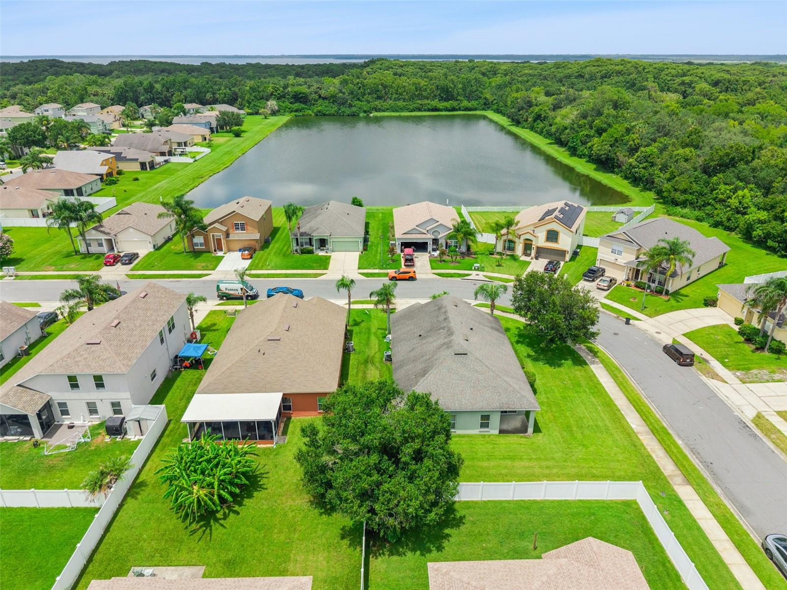 CELERY KEY - Residential