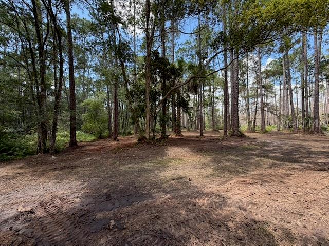 DAYTONA PARK ESTATES REP SEC G - Land
