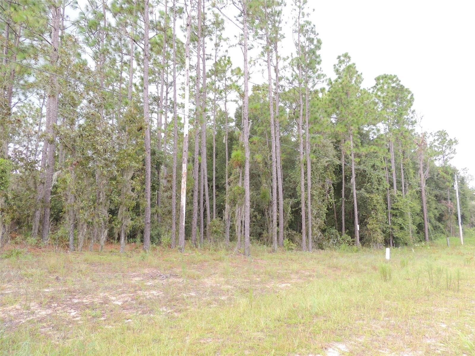 UNIVERSITY OAKS - Land