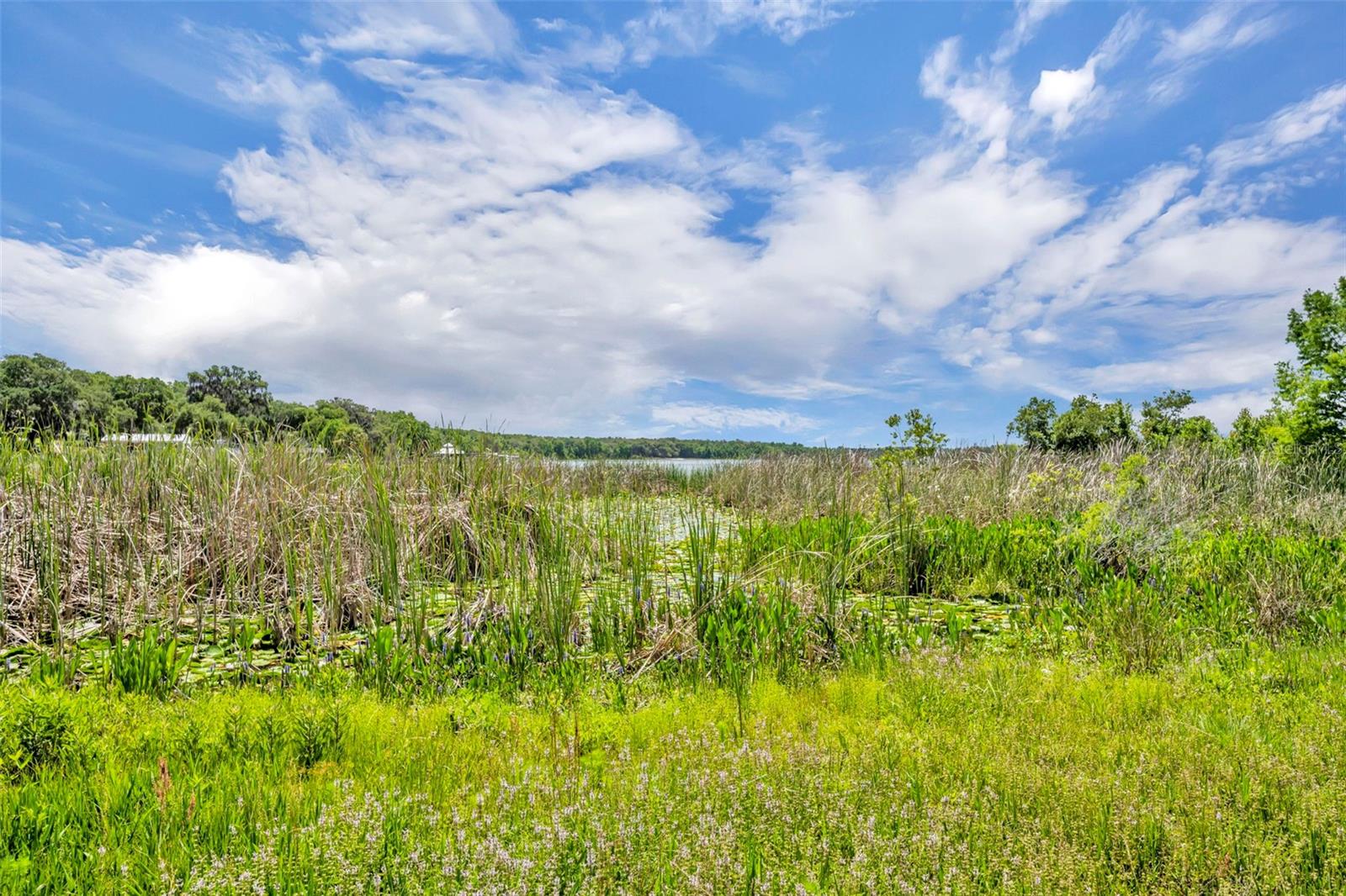 LAKE HAVEN - Residential