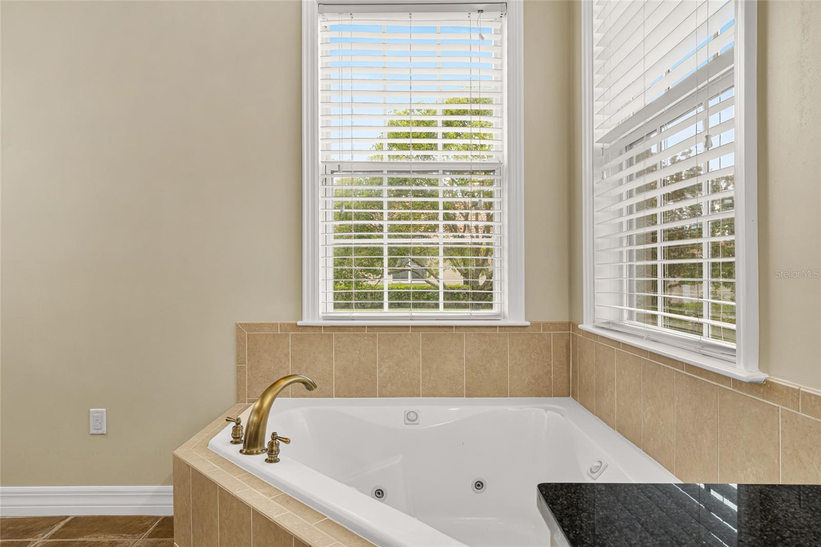 PRESERVE AT PANTHER RIDGE PH I - Residential