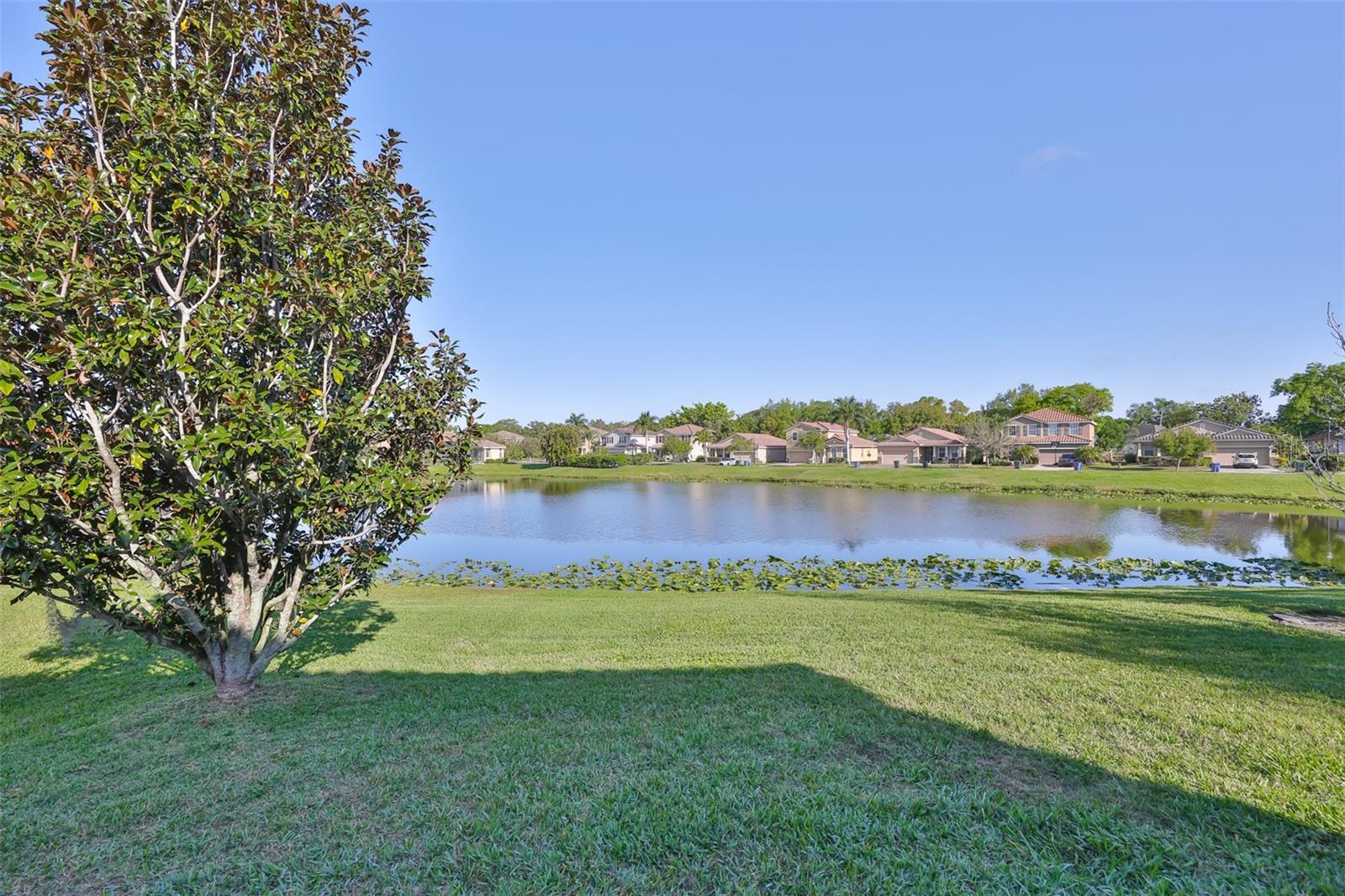 OAK VISTAS - Residential
