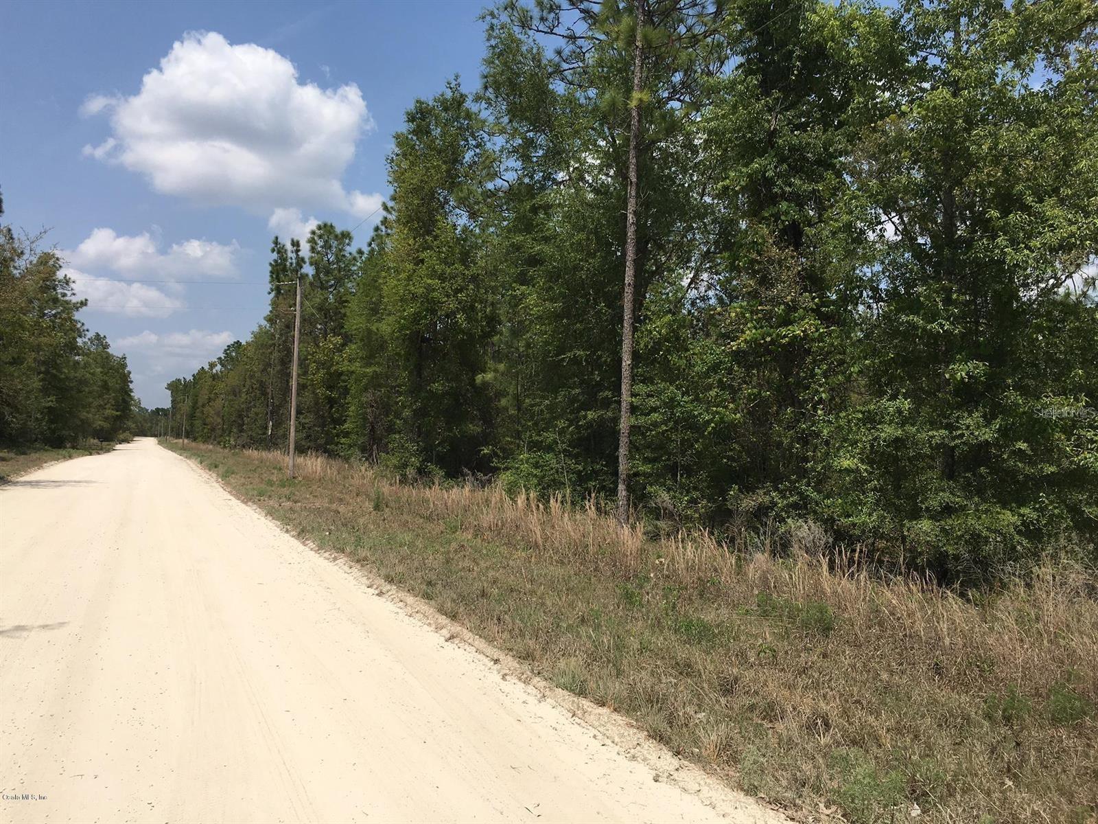 ROLLING ACRES 3.04 WOODED ACRES – BUILD YOUR FLORIDA COUNTRY DREAM! Escape to the peace and privacy of country living with this beautiful 3.04 acre homesite in the desirable Rolling Acres community. Tucked just off a paved road, this wooded parcel offers scenic natural views, mature trees, and the perfect setting to build your dream home or place a manufactured home. With no HOA, no flood zone, and public road access, you have the freedom and flexibility to create the lifestyle you’ve been looking for.

Bring your horses, outdoor toys, or simply enjoy the serenity of rural living with the added bonus of being convenient to the Goethe State Forest riding trails, a true haven for horseback riders and nature lovers. Whether you envision a custom site-built home, a manufactured home, or a private weekend retreat, this property offers endless possibilities.

Ideally located for an easy drive to Gainesville and Ocala for work, shopping, dining, and medical services, while still enjoying the charm and quiet of Levy County. Rarely do small acreage parcels with this combination of location, flexibility, and natural beauty come available. Don’t miss this opportunity to make this your forever homesite.