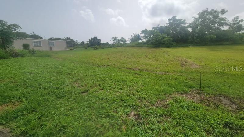 GUZMAN ABAJO - Land