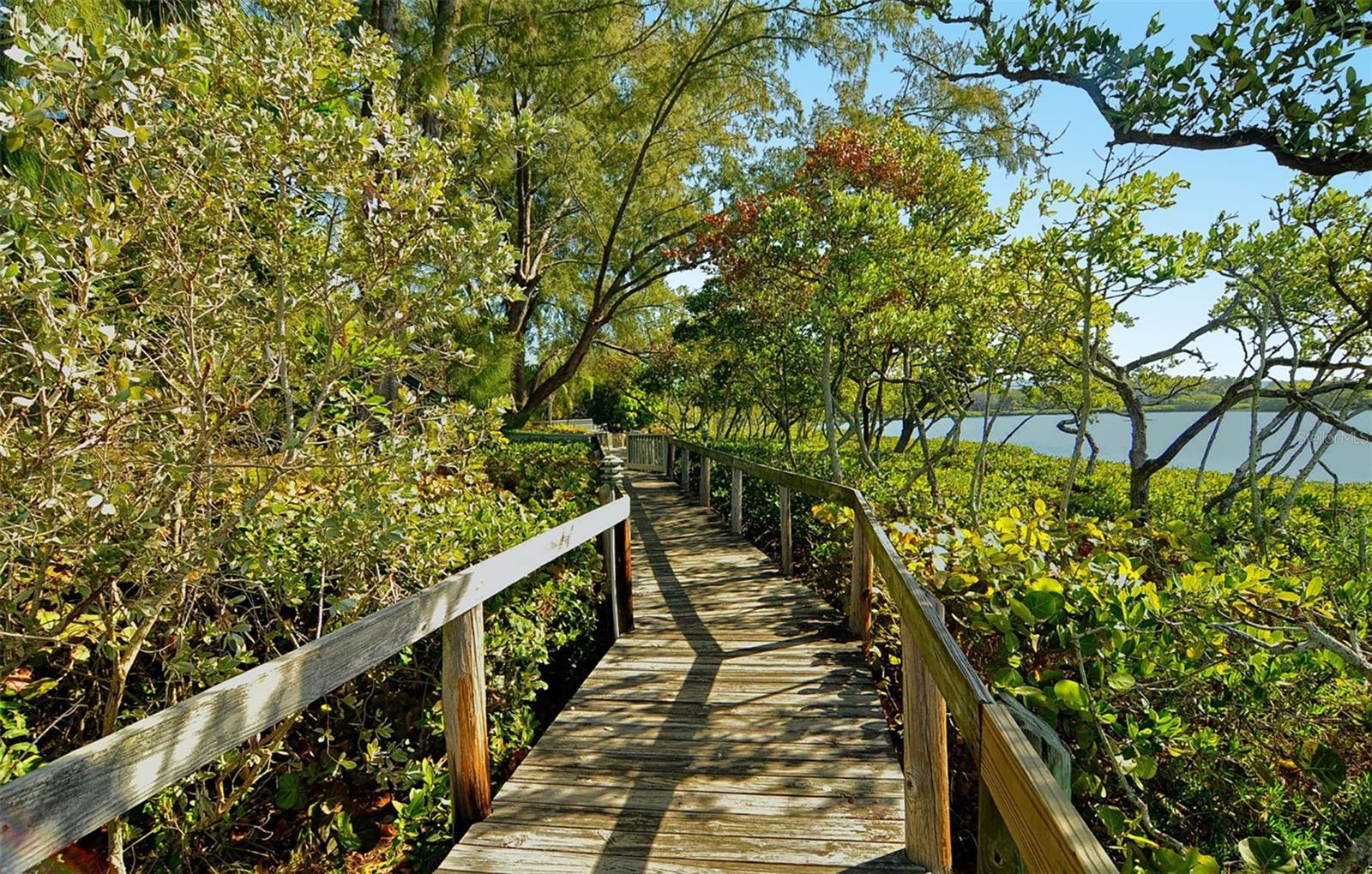 PELICAN COVE IV - Residential