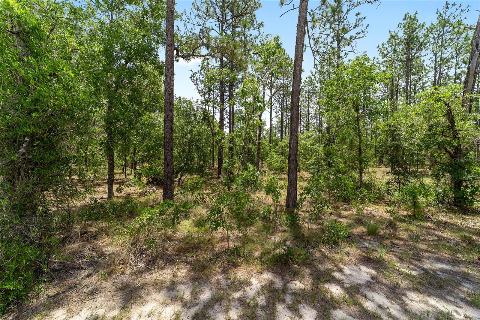ROLLING HILLS UNIT 3 HILLS OF OCALA - Residential