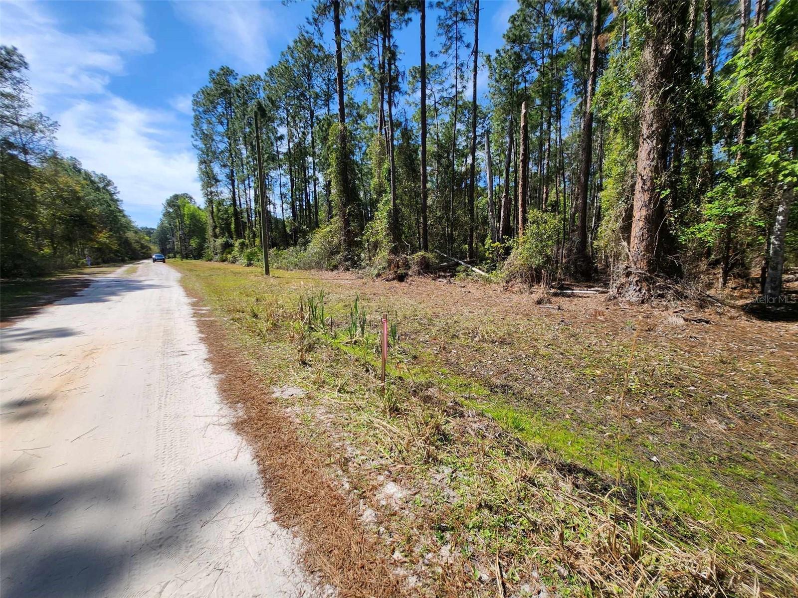 Picture your home surrounded by trees with enough room for a fire pit, outdoor seating, for all your gatherings.  Private, Quiet, and Serene ... each listed separately. Lots are 75' wide x 135' deep, side x side totaling 225' road frontage. Currently wooded, raw land with no improvements, although electrical poles are present across the street. Completes the trio and expands your frontage, giving you extra design options at 112, 114, and 116 Mosswood Street for $40,000. *Property Boundary Survey available.