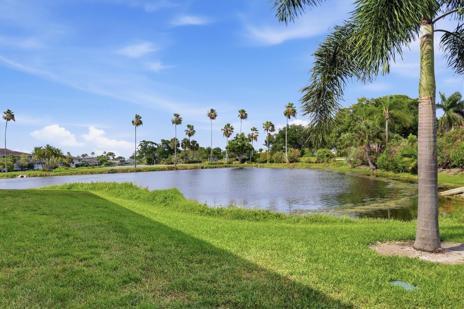 SHORELINE TERRACES II AT PERICO BAY 1&2 - Residential